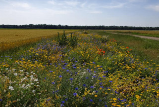 AGRI4POL field protocol workshop and field trip in Dijon, France