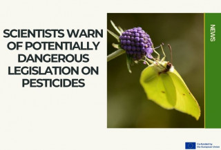 EU Commission’s draft legislation on pesticides: European researchers highlight the risks