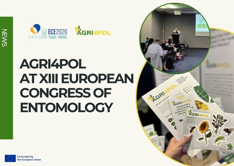 AGRI4POL at the XIII European Congress of Entomology 2026