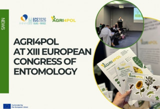 AGRI4POL at the XIII European Congress of Entomology 2026