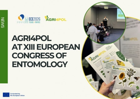 AGRI4POL at the XIII European Congress of Entomology 2026